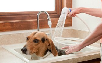 Bath A Dog Faucet Dog Shower 3 Way Pet Faucet Sprayer Rinse Ace